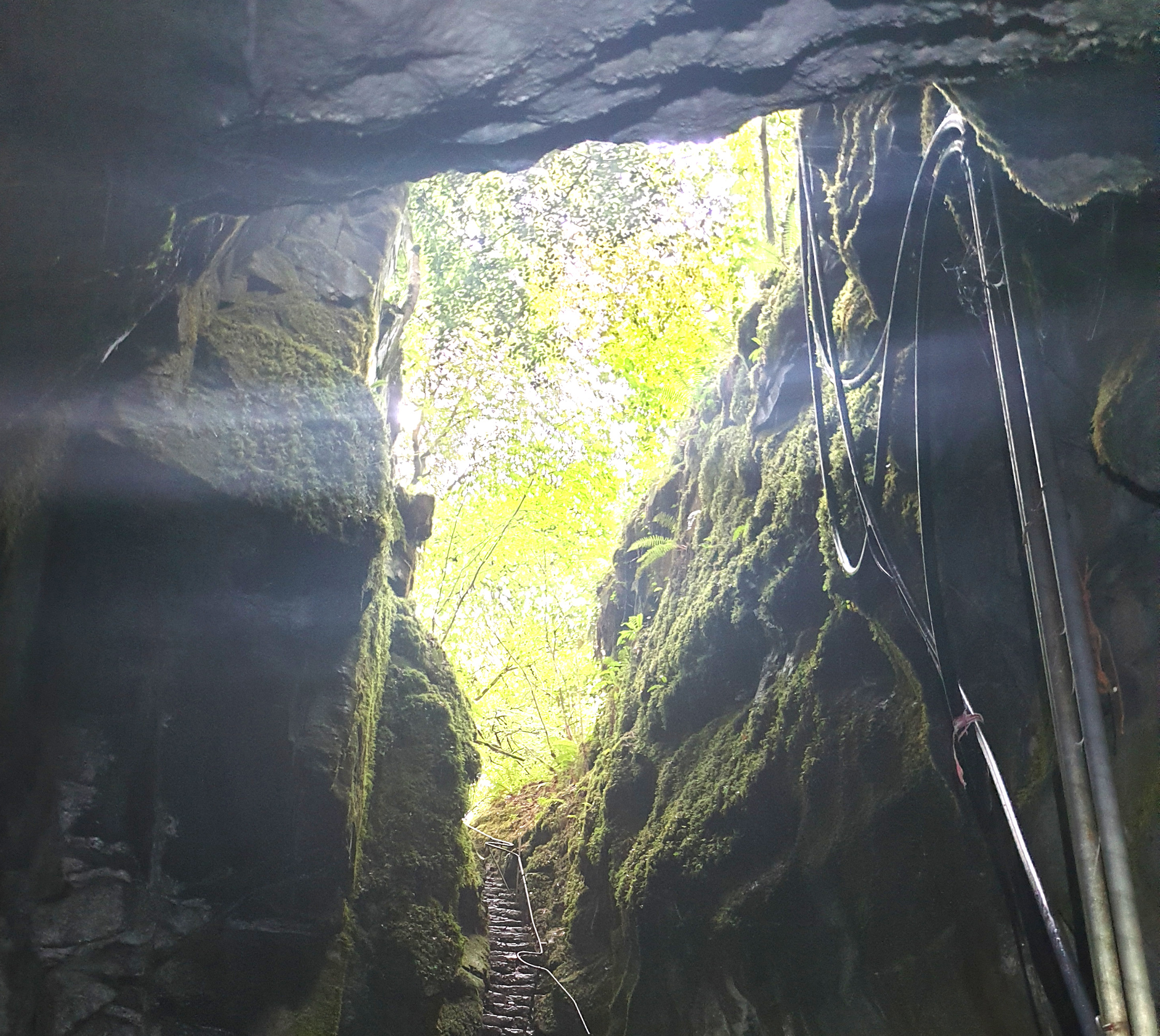 Am Eingang zur Pigeon Hole Cave (Foto: Hartmut Simmert)